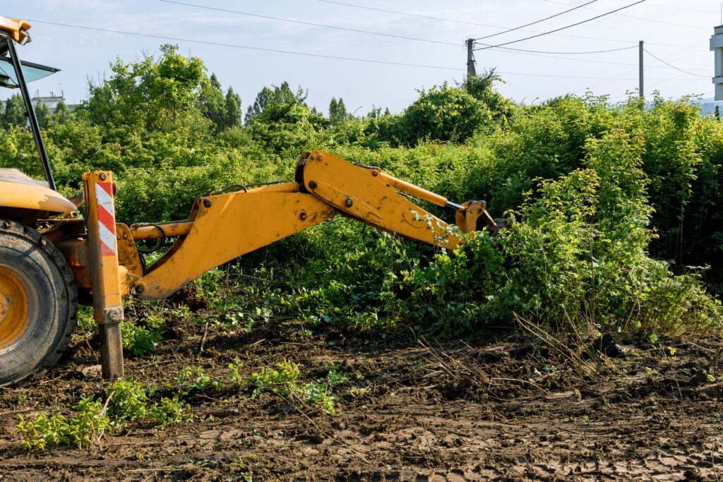 Vegetation Management