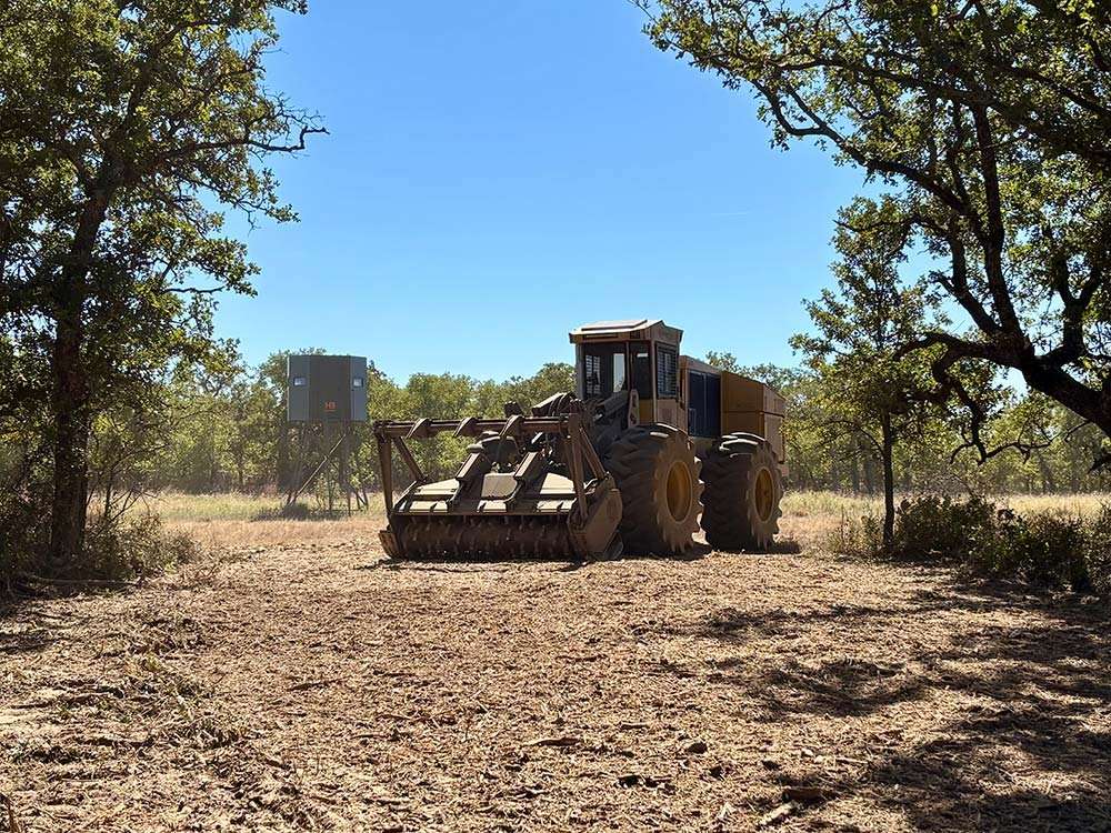 Forestry Mulching NSW machinery clearing dense vegetation on a rural property