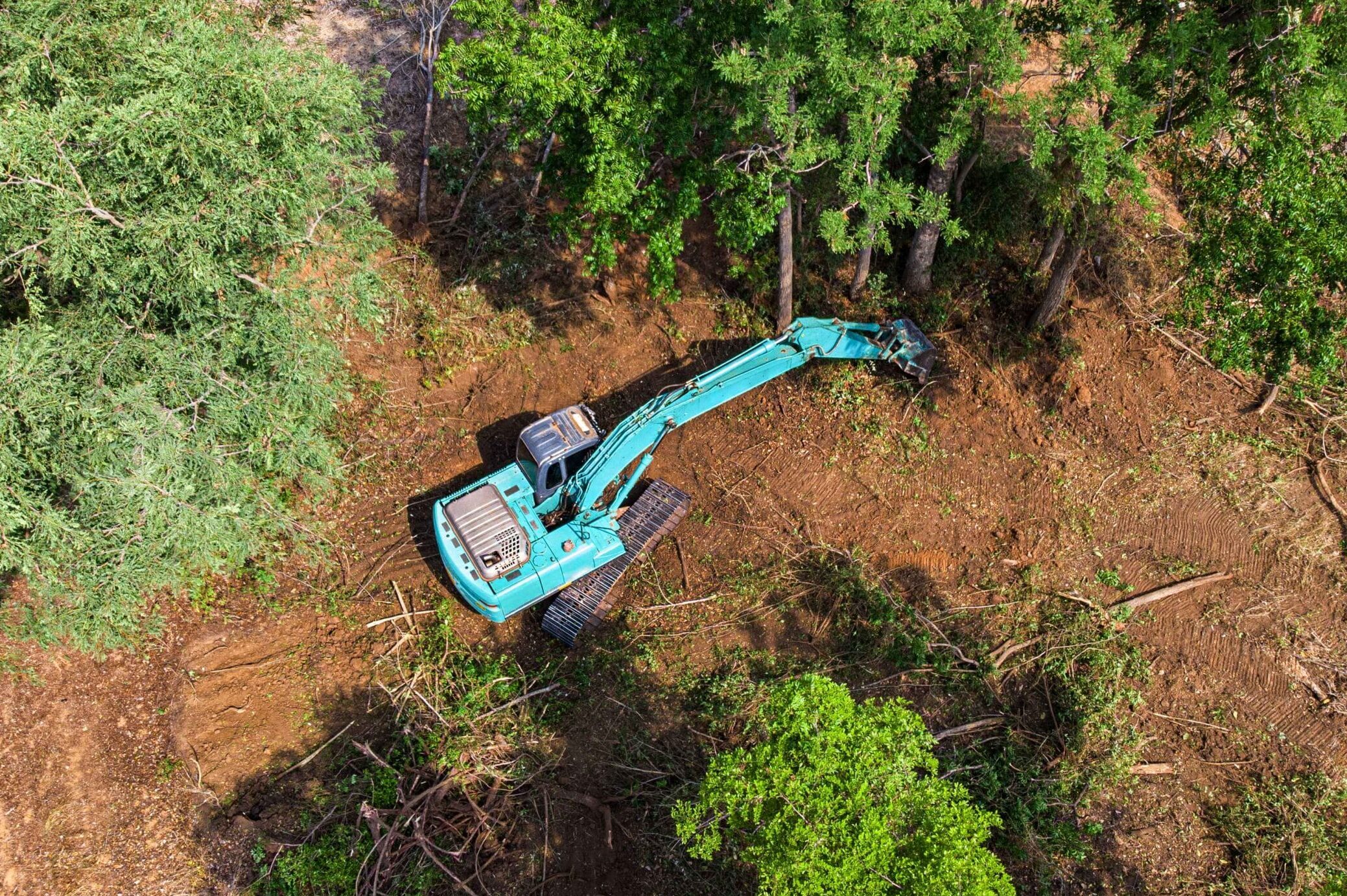 the-top-view-of-the-deforestation-2025-01-09-02-47-19-utc_11zon-scaled
