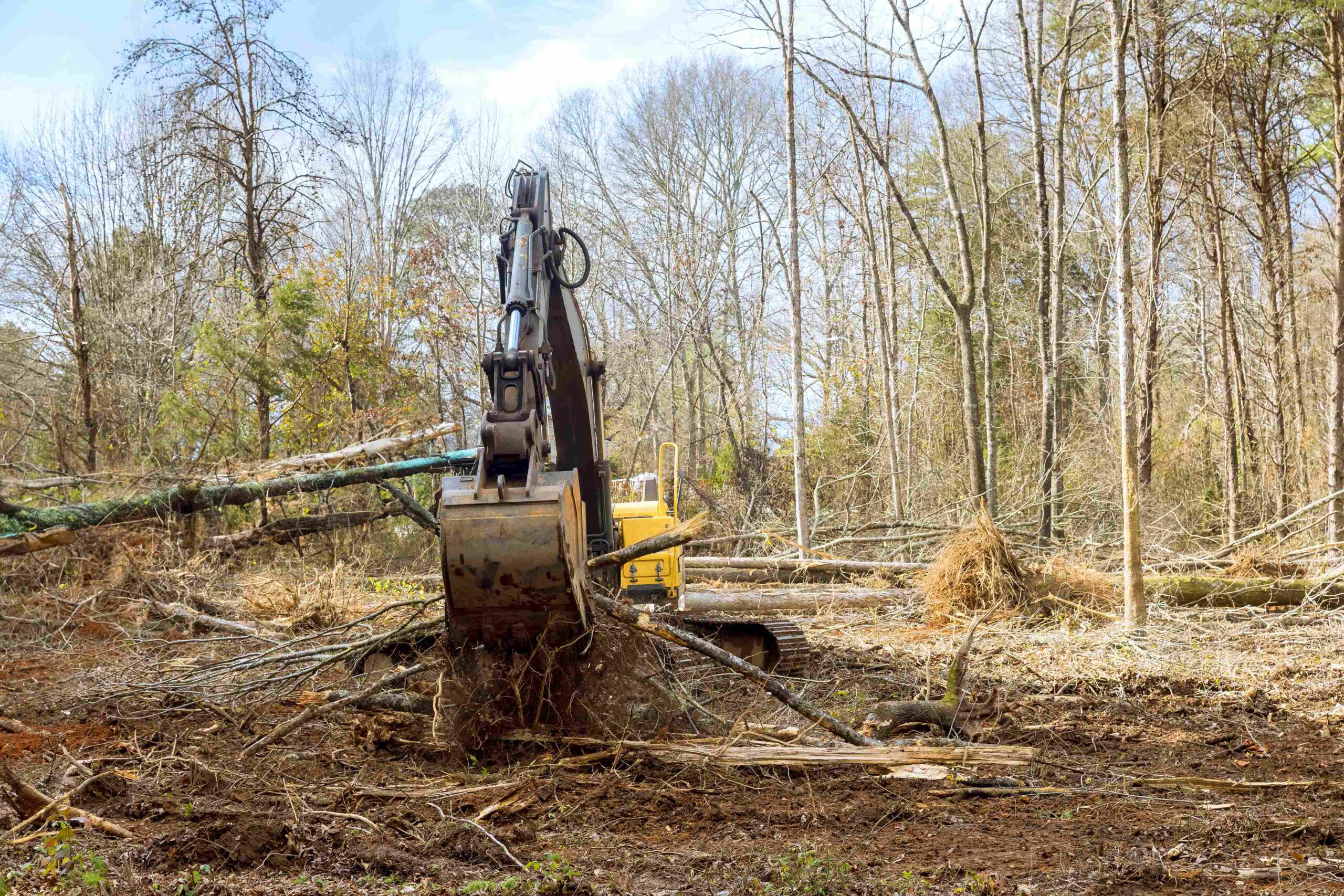 with-aid-of-an-excavator-worker-is-removing-trees-2025-03-27-03-29-17-utc_11zon-scaled